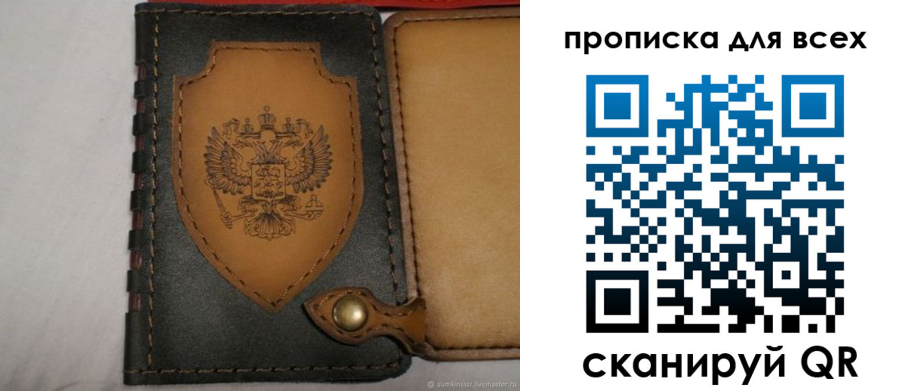 прописка для школы в Сланцах
